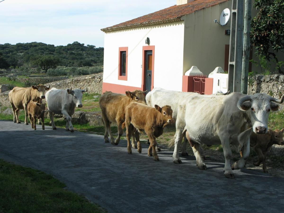 Casas Da Estacao, Country Houses Марван Номер фото